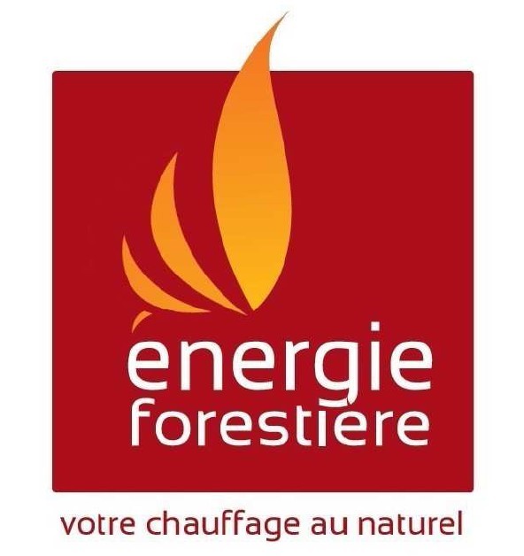 logo ENERGIE&nbsp;FORESTIERE