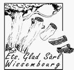 logo ETS&nbsp;GLAD&nbsp;SARL