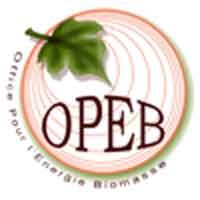 logo OPEB