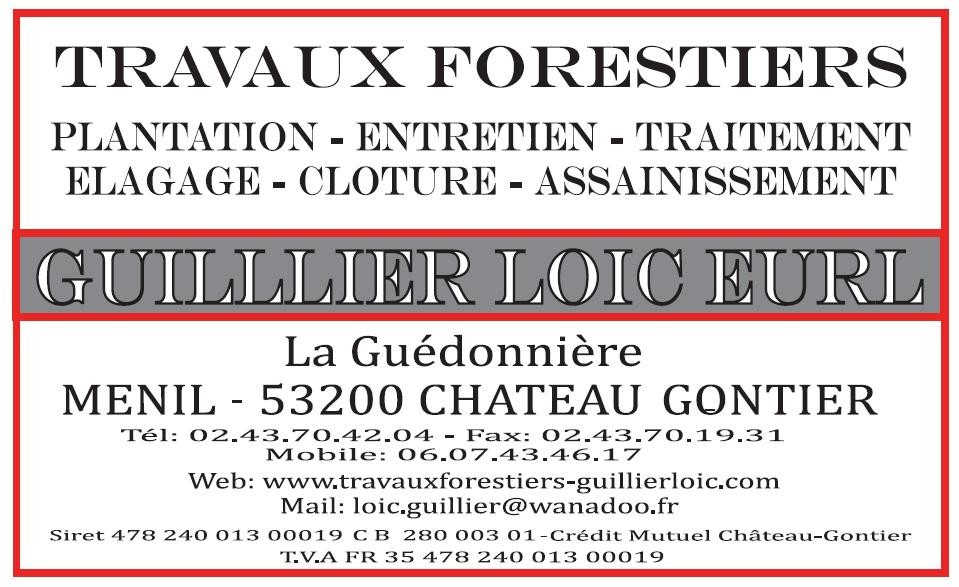 logo GUILLIER LOIC EURL