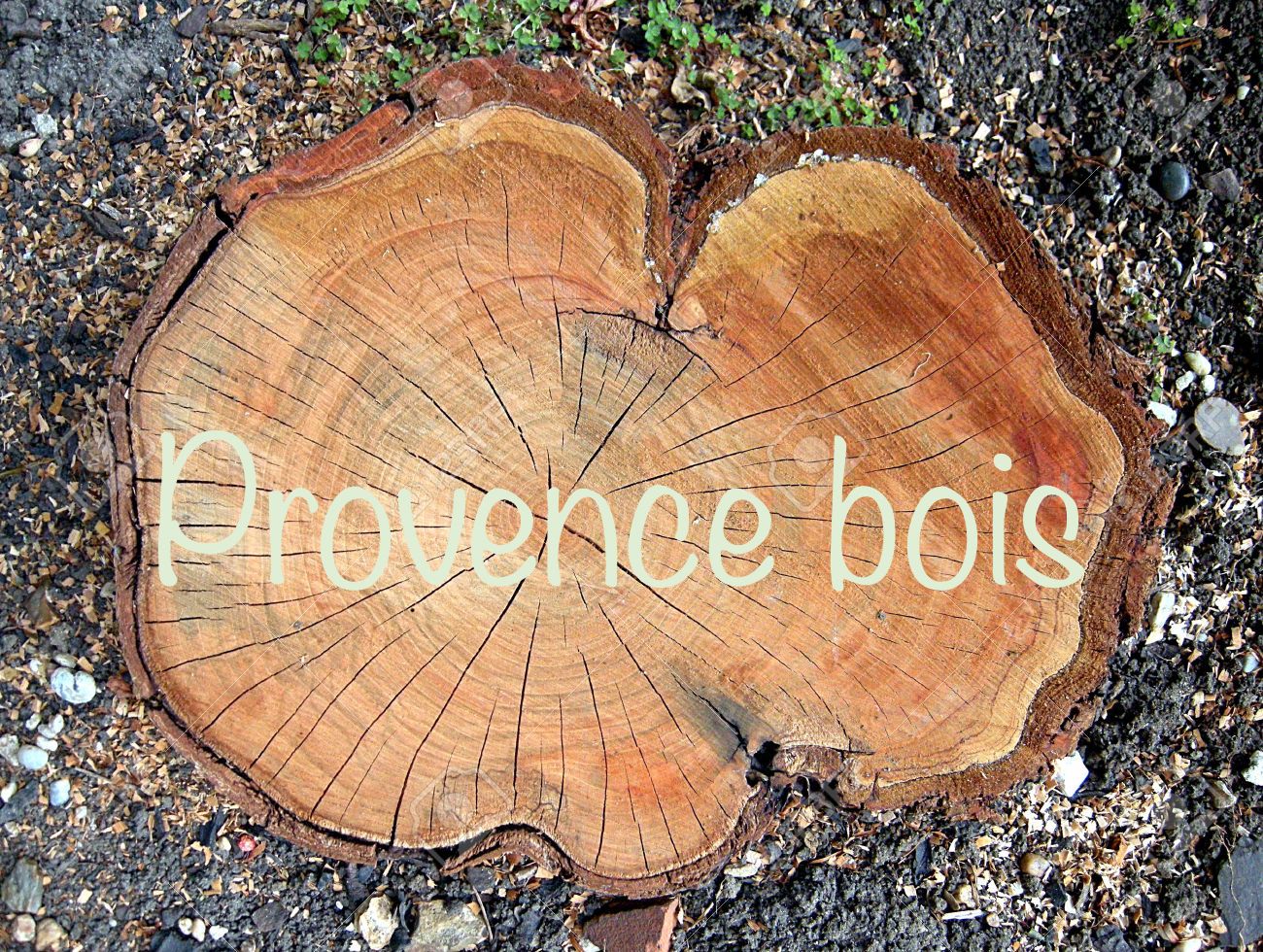 Bois de Chauffage en France et en Provence