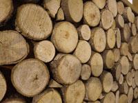 Taille, dimension, volume et poids du bois de chauffage