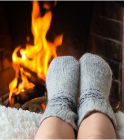  - Bois de chauffage .Net1