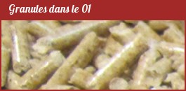 bois en Granules dans le 01