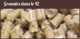 bois en Granules dans le 42